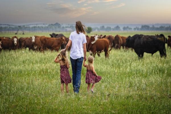 Chloe Nunley Wilson began working cattle with her dad and uncle from the time that her parents, Bob and Dana Nunley, felt she could safely side-step a calf.