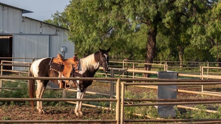 Fourth-generation Texan Lanham Napier